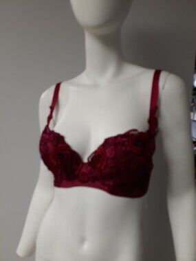 Bradelis Natalie Bra Red Size 30 F NEW WITH TAGS!